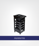 Asistente
